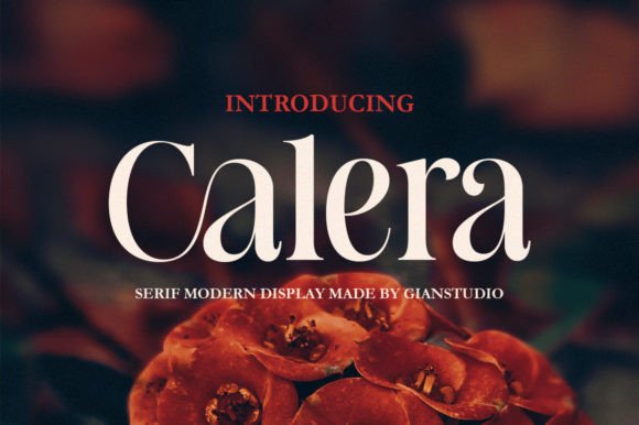 Calera Typeface: A Timeless Serif for Modern Brand Identity