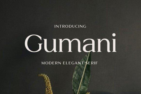 Gumani: The Elegant Serif Font for Handmade Products