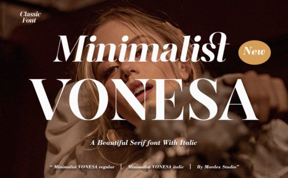 Minimalist Vonesa: The Serif Typeface for Sophisticated Web Design