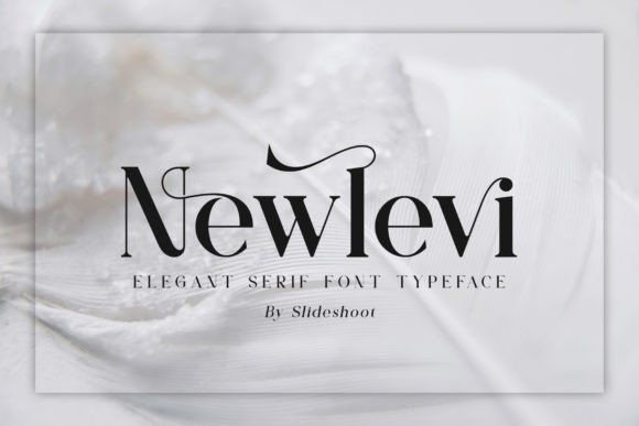 Newlevi: The Elegant Serif Font for Modern Web Design