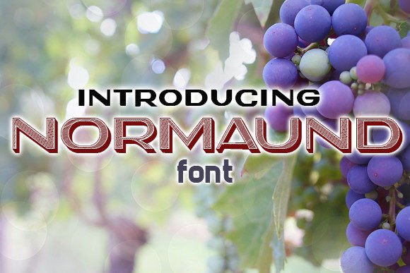 Normaund: The Creative Font Elevating Small Business Branding