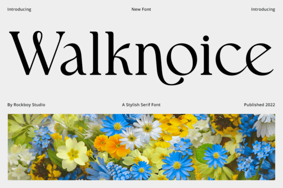 Walknoice Typeface Review: A Clean Serif for Modern Campaigns