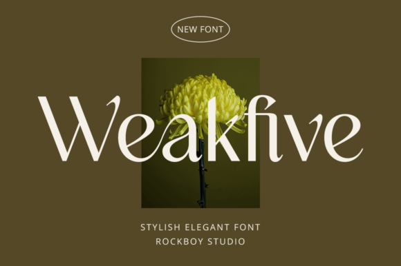 Weakfive: A Designer's Honest Review for Real-World Branding